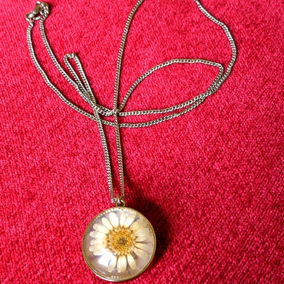 🤍🧡 REAL PRESSED DRIED DAISY FLOWER NECKLACE - Picture 3 of 6
